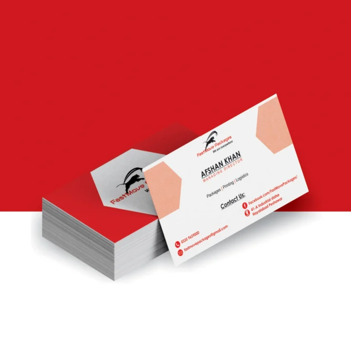 Professional Visiting and Business Card Designing and Printing