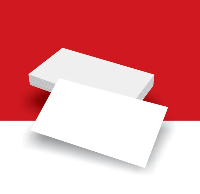 Professional Visiting and Business Card Designing and Printing