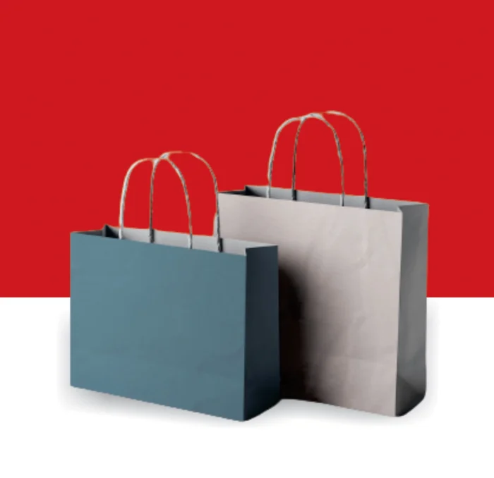 Gift Bag, Give Away Bag, Shopping Bag