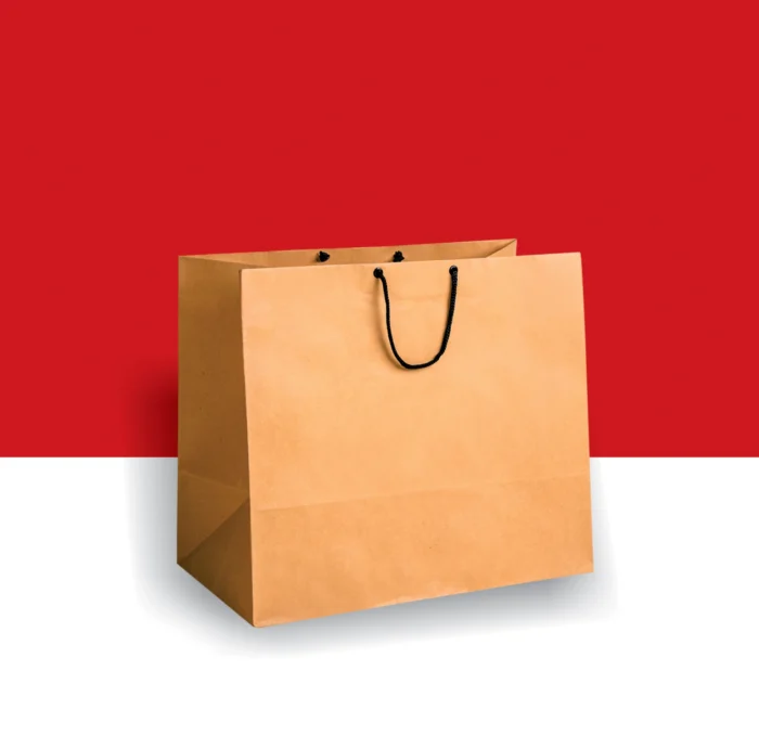 Gift Bag, Give Away Bag, Shopping Bag